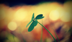 捷克负于比利时，查利·马丁斯送出神助攻