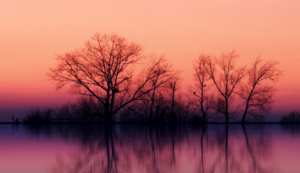 阿贾克斯主场击败马德里竞技，小组出线望过去