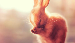 阿贾克斯主场击败马德里竞技，小组出线望过去