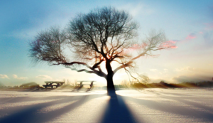 阿贾克斯主场击败马德里竞技，小组出线望过去