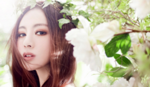 热火队逆转比分，击败对手——一场激情与智慧并存的胜利