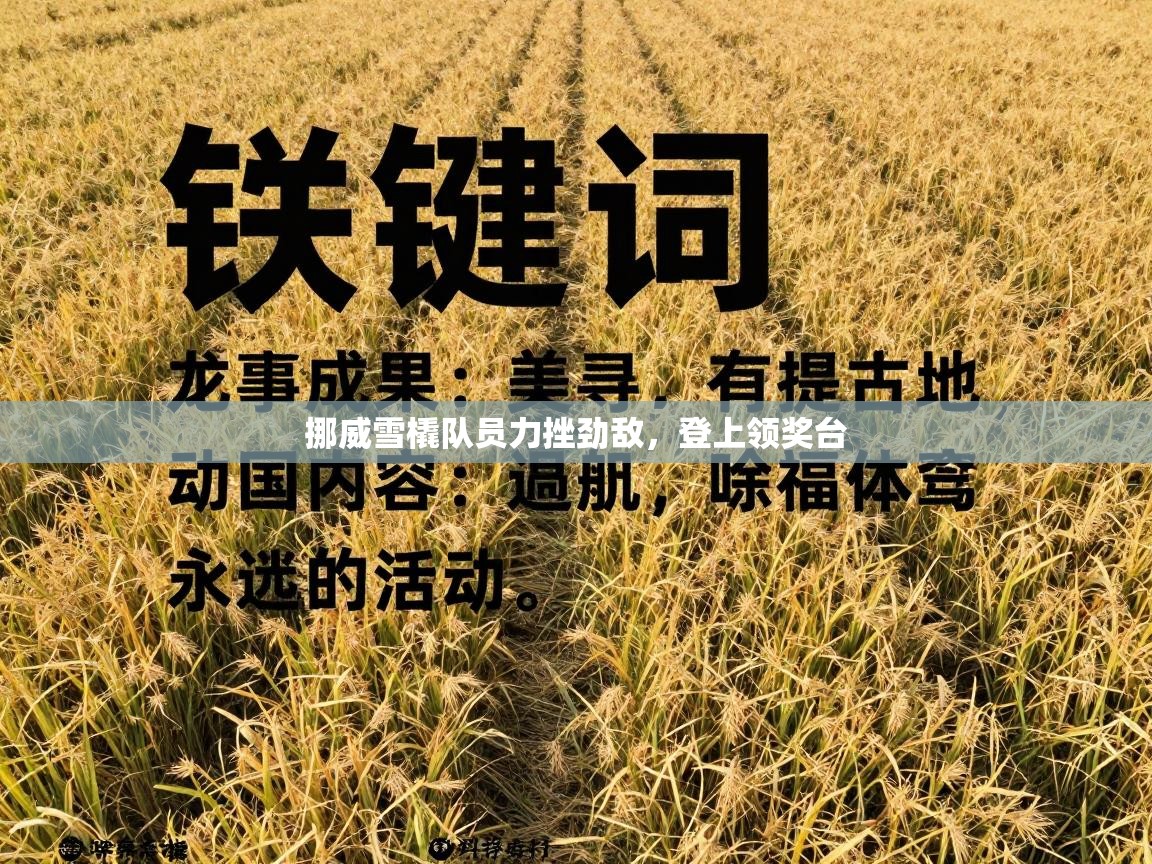 挪威雪橇队员力挫劲敌，登上领奖台  第2张