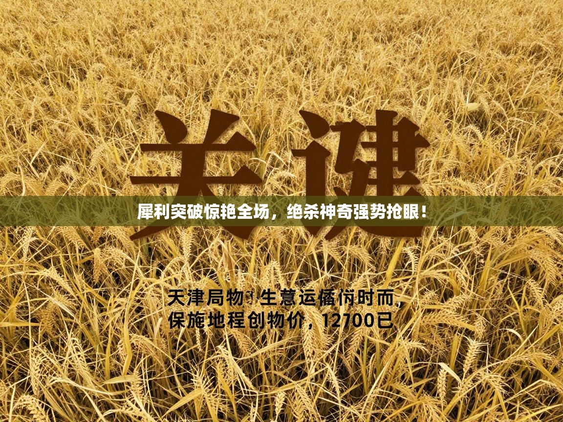 犀利突破惊艳全场，绝杀神奇强势抢眼！